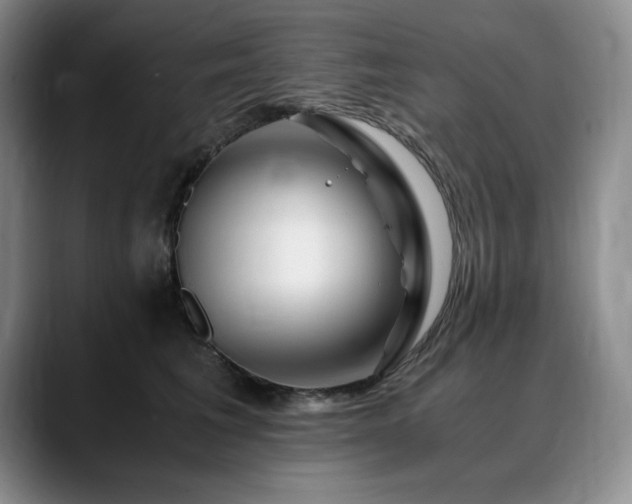 X0000090600613200707171334