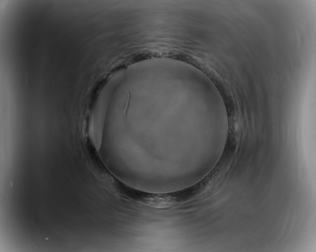 X0000090600615200707171334
