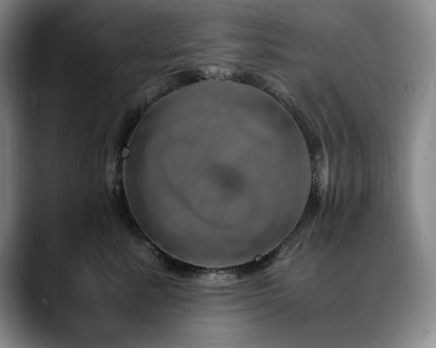 X0000090600619200707171334