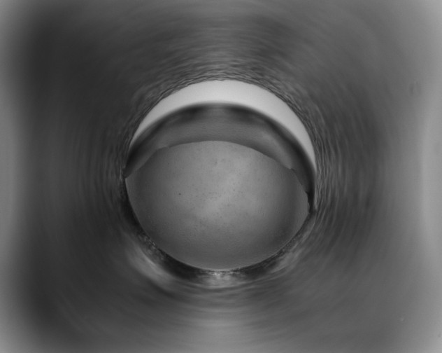 X0000090600623200707171334