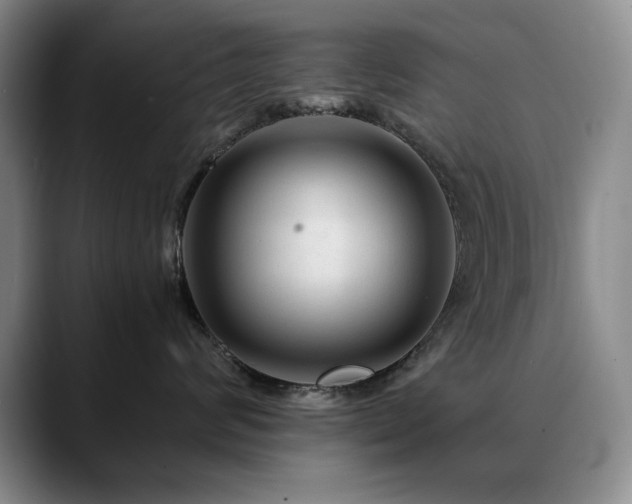 X0000090600624200707171334