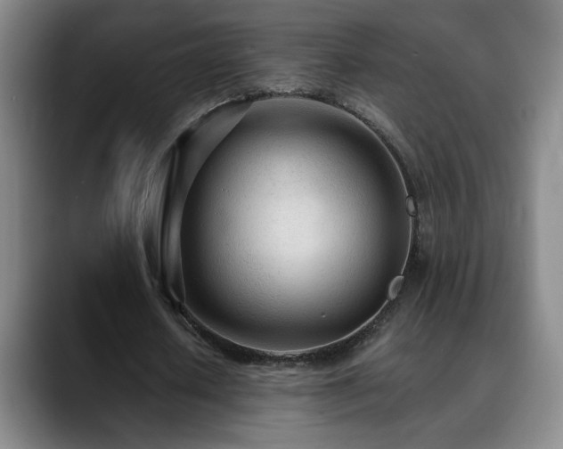 X0000090600626200707171333