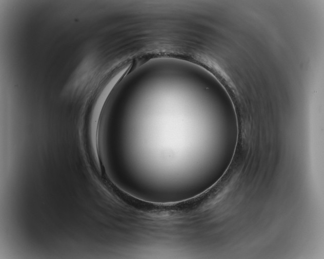 X0000090600629200707171333