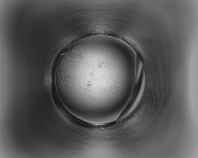 X0000090600630200707171333