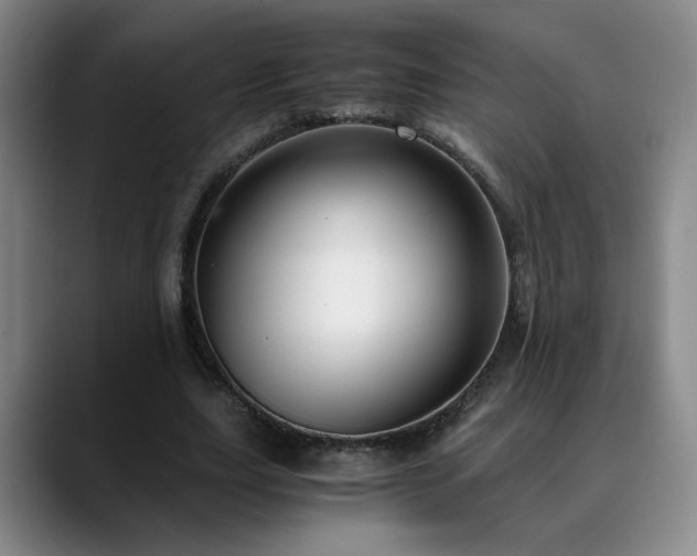 X0000090600631200707171333