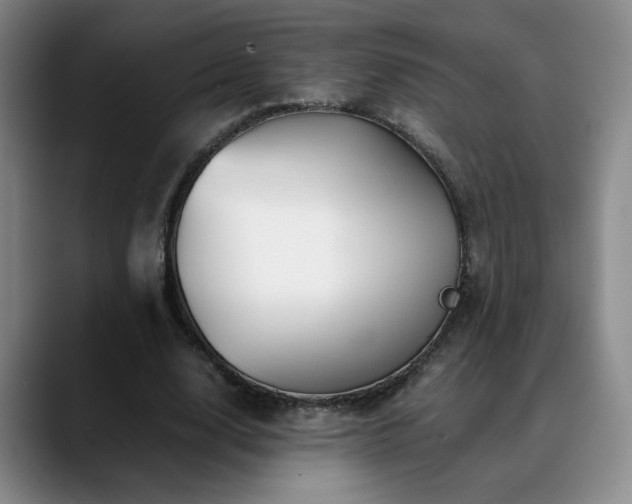 X0000090600632200707171333