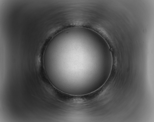 X0000090600636200707171333