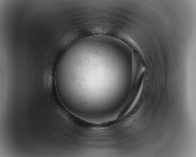 X0000090600637200707171333