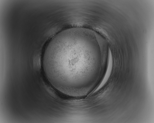 X0000090600638200707171333