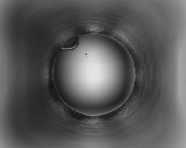 X0000090600639200707171333