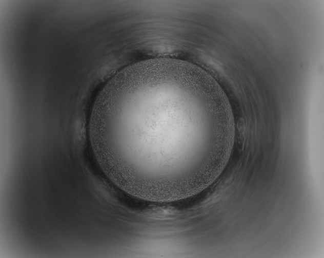 X0000090600642200707171333
