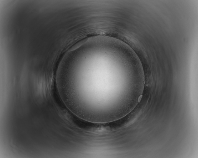 X0000090600646200707171333