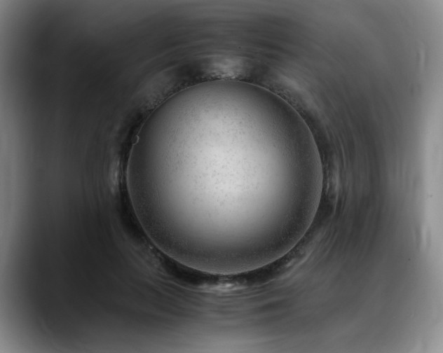 X0000090600647200707171333