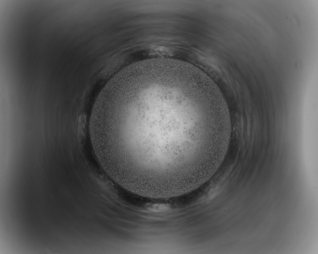 X0000090600649200707171333