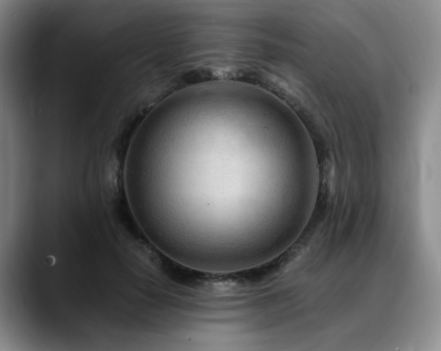 X0000090600650200707171333