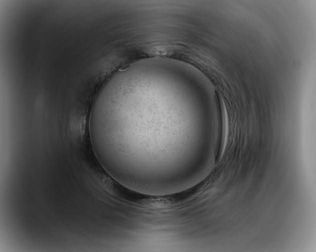 X0000090600652200707171333
