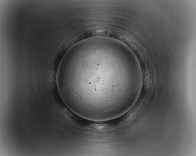 X0000090600654200707171333