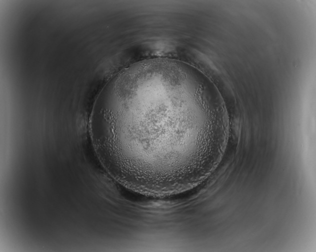 X0000090600657200707171333