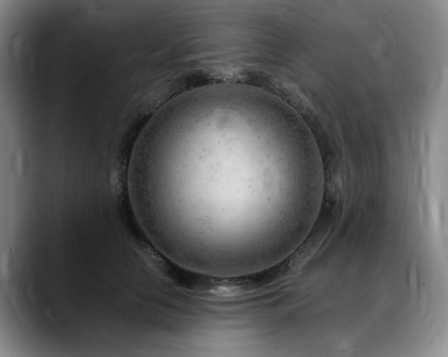X0000090600658200707171333