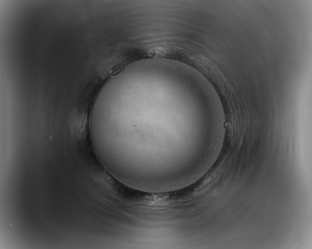 X0000090600660200707171334