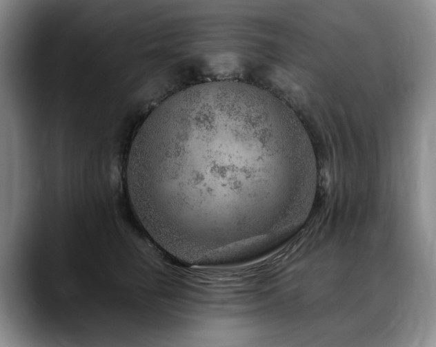 X0000090600662200707171334