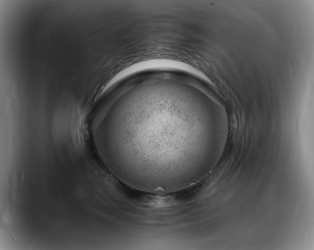 X0000090600663200707171334