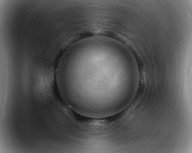 X0000090600664200707171334
