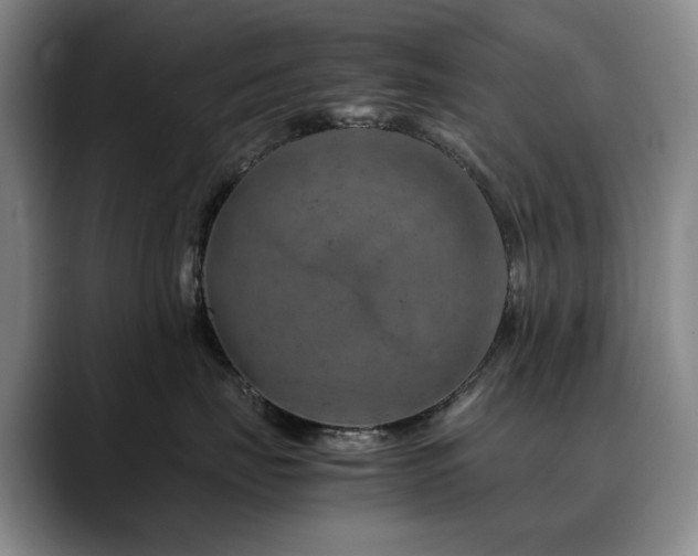 X0000090600671200707171334