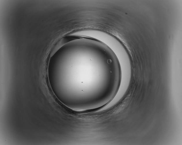 X0000090600673200707171333