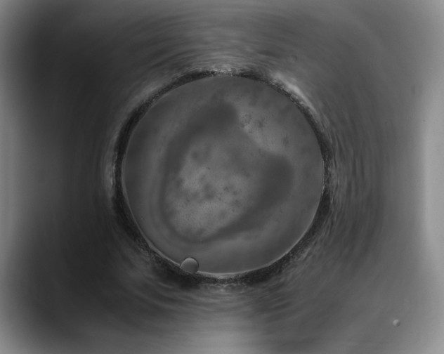 X0000090600679200707171333