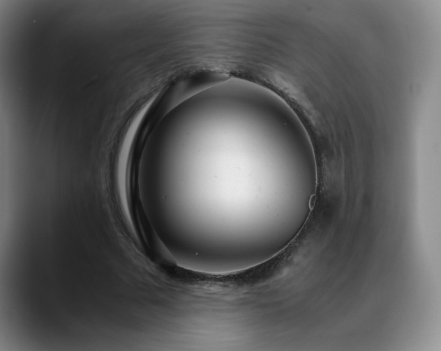 X0000090600681200707171333