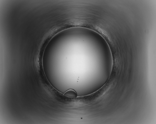 X0000090600682200707171333