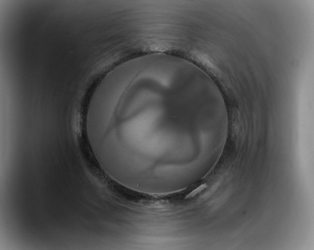X0000090600683200707171333