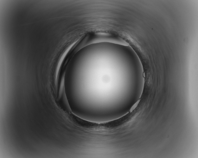 X0000090600685200707171333