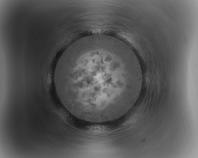 X0000090600691200707171333