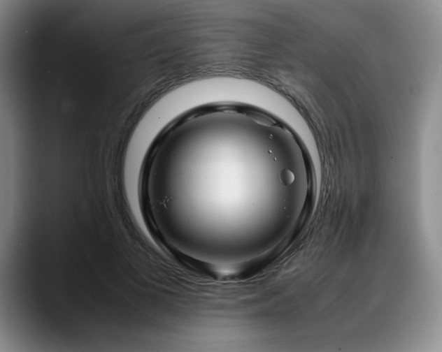 X0000090600693200707171333