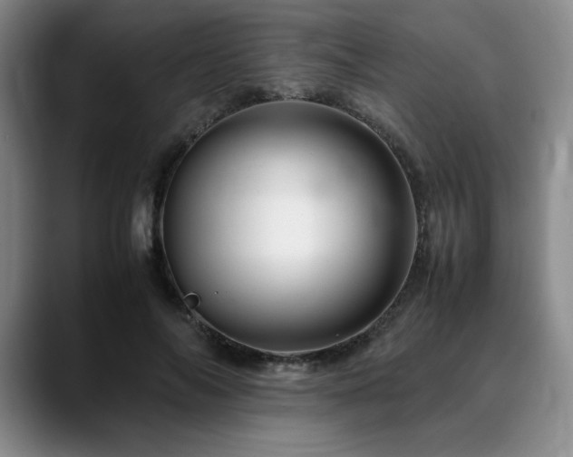 X0000090600694200707171333