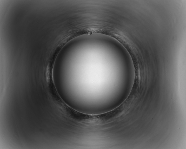 X0000090600696200707171333