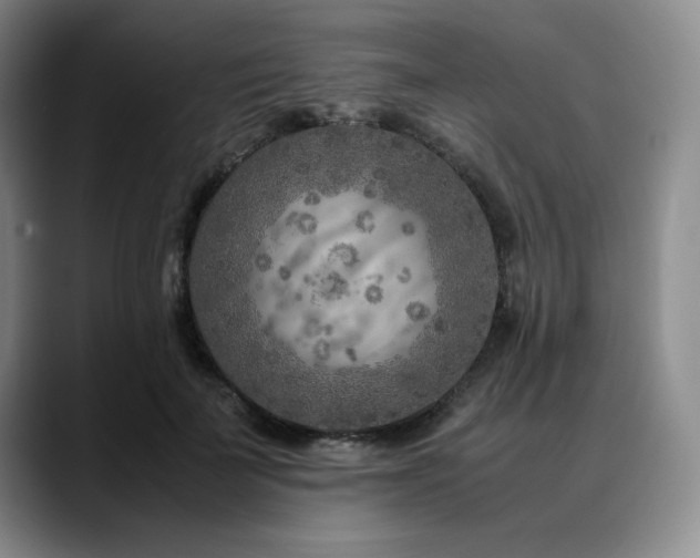 X0000090600699200707171333