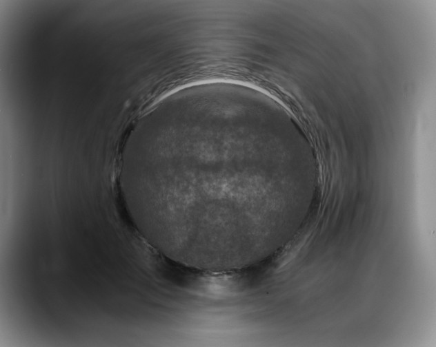 X0000090600701200707171333