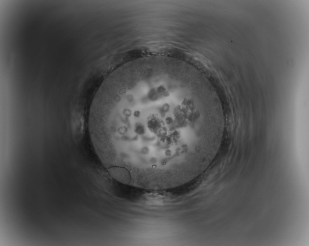X0000090600703200707171333