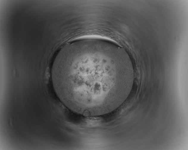 X0000090600707200707171333