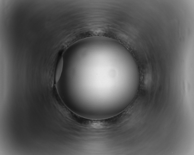 X0000090600710200707171333