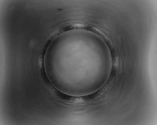 X0000090600715200707171333