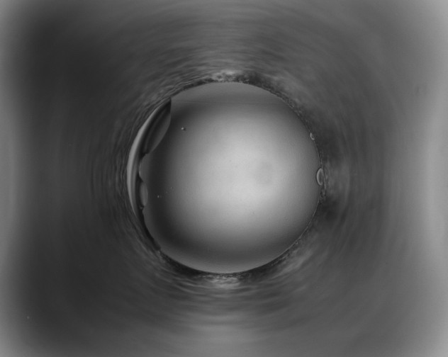 X0000090600719200707171333
