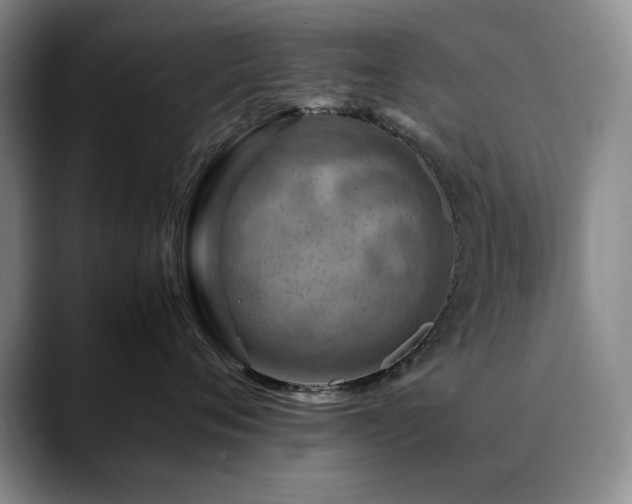 X0000090600720200707171333
