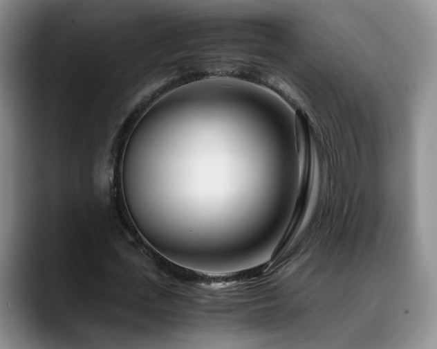 X0000090600723200707171332