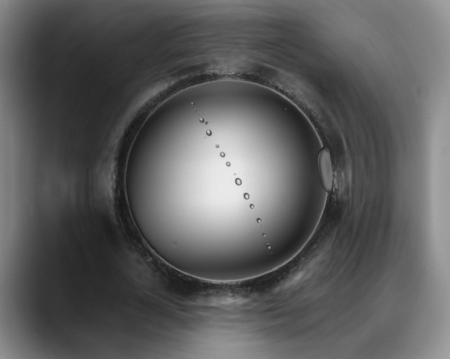 X0000090600724200707171332