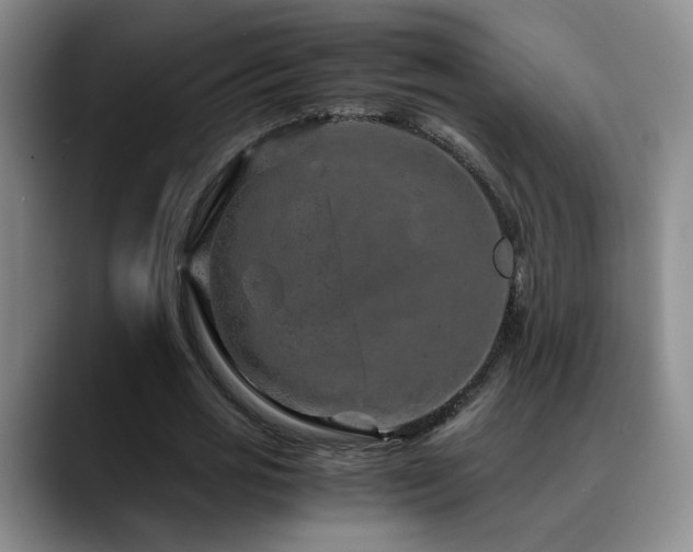 X0000090600725200707171332