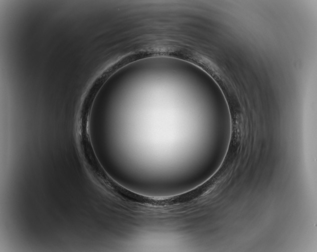X0000090600726200707171332